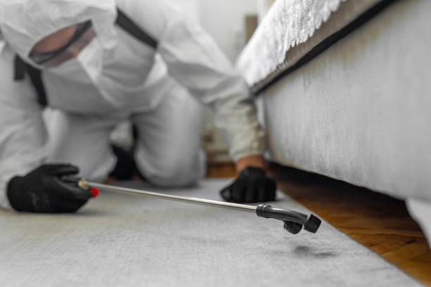 Professional Termite Control technician working in Murillo, TX